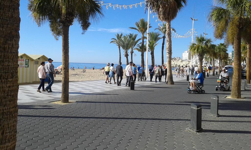 Apartamento Rex Benidorm Extérieur photo